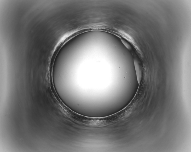 X0000086891176200704300951