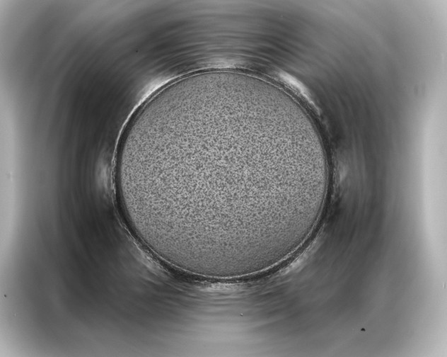 X0000086891178200704300951