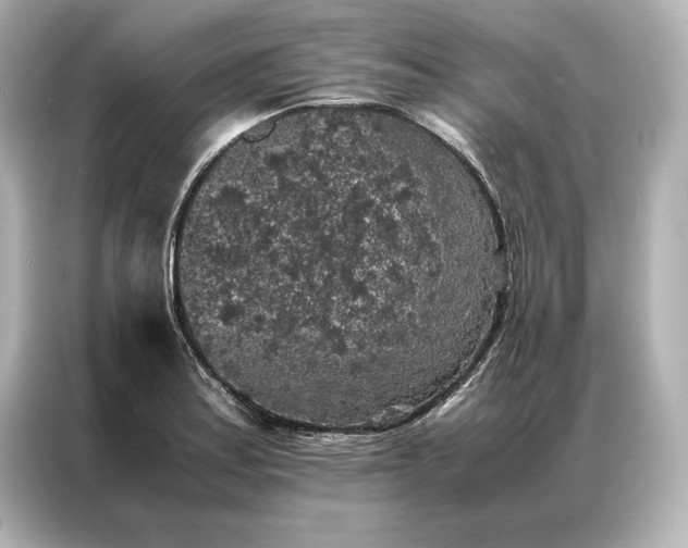 X0000086891179200704300951