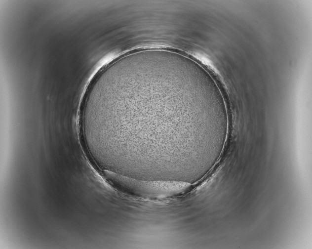 X0000086891181200704300951