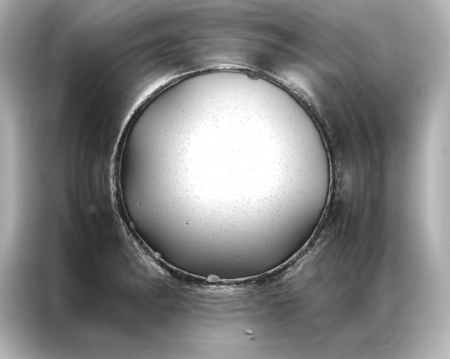 X0000086891182200704300951