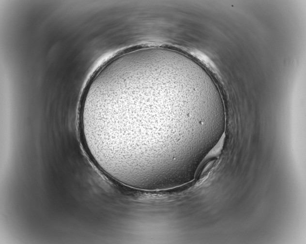 X0000086891183200704300951