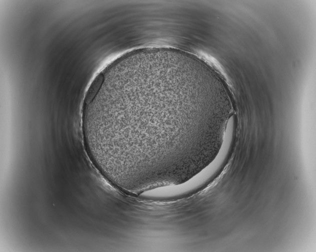 X0000086891184200704300951