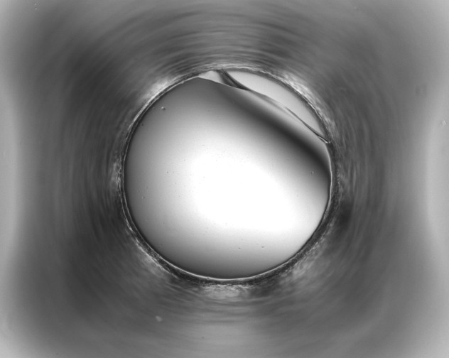 X0000086891185200704300951