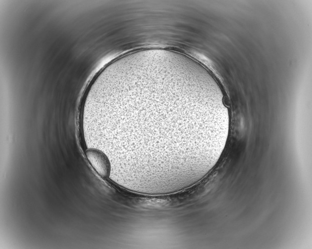 X0000086891187200704300951