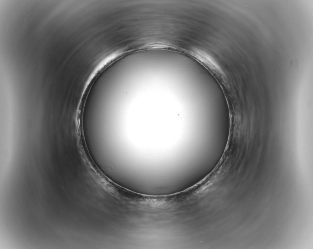 X0000086891190200704300951