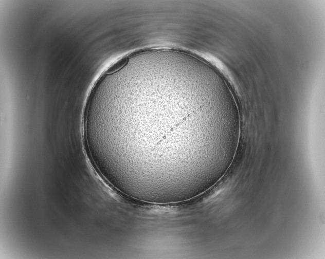 X0000086891191200704300951