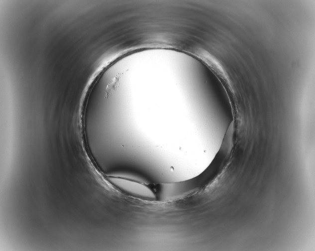 X0000086891192200704300950