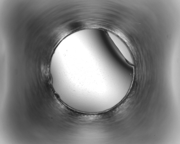 X0000086891193200704300950