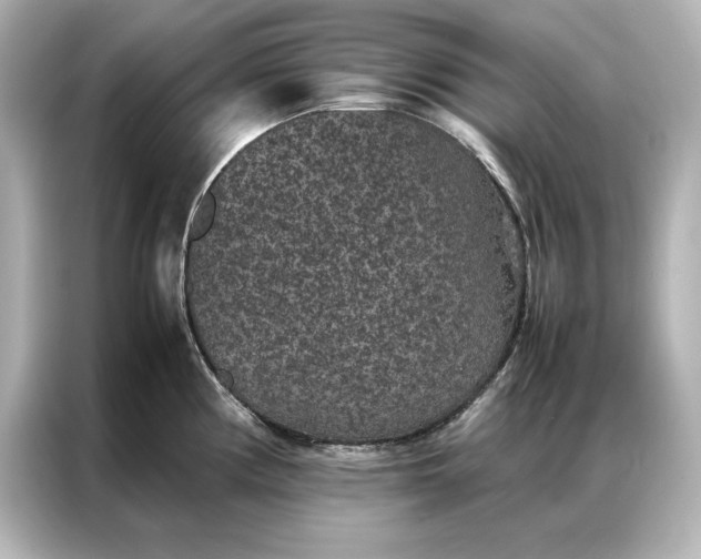 X0000086891194200704300950