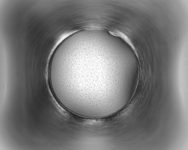 X0000086891195200704300950