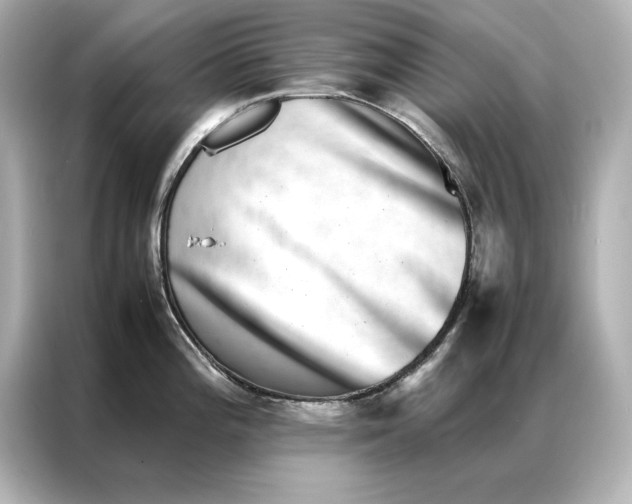 X0000086891196200704300950