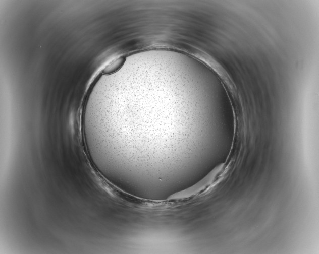 X0000086891198200704300950