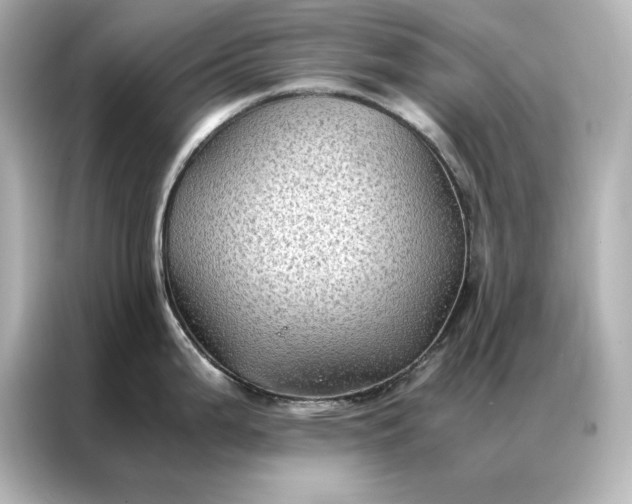 X0000086891199200704300950