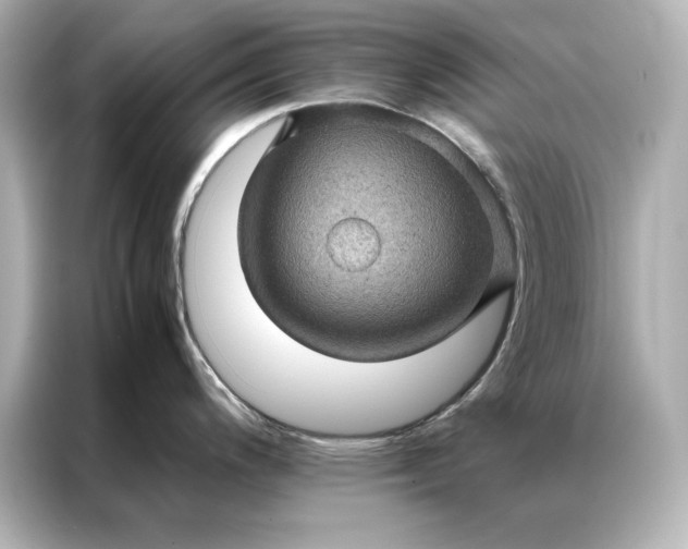 X0000086891200200704300950