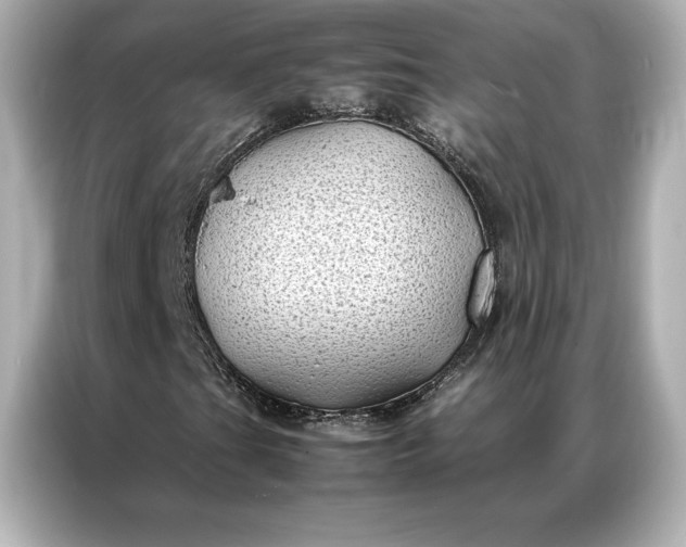 X0000086891201200704300950