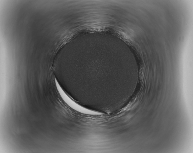 X0000086891202200704300950