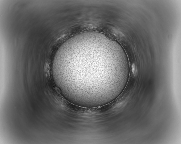 X0000086891203200704300950