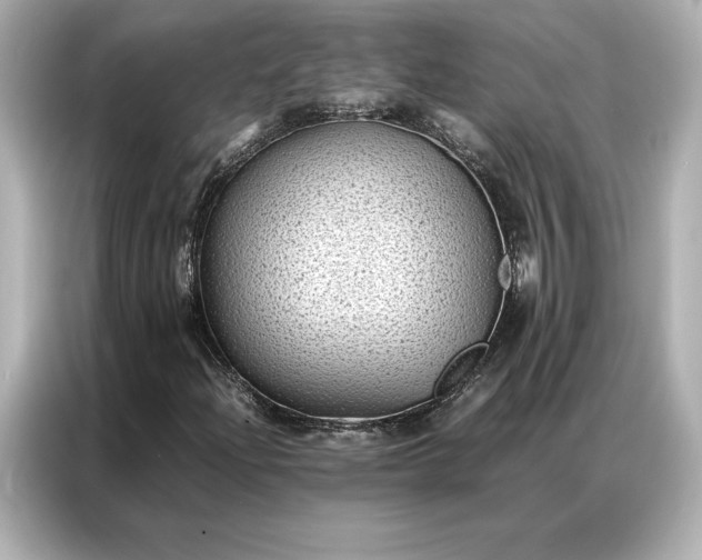 X0000086891204200704300950