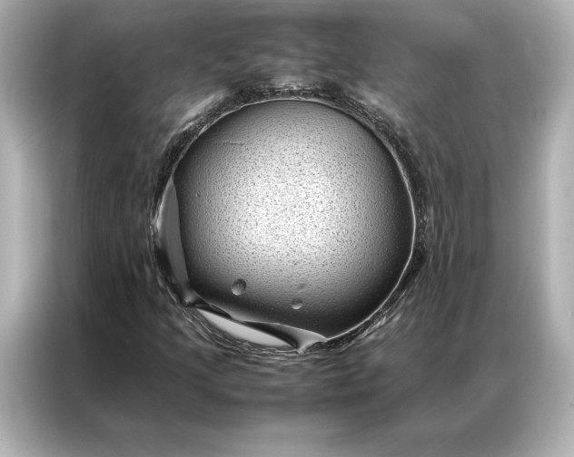 X0000086891205200704300950