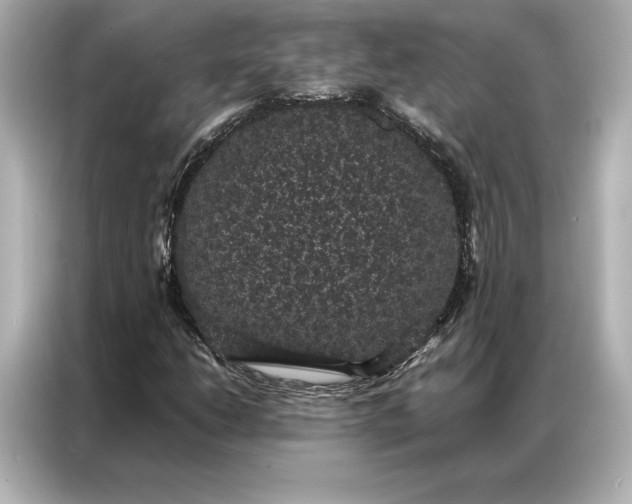 X0000086891206200704300950