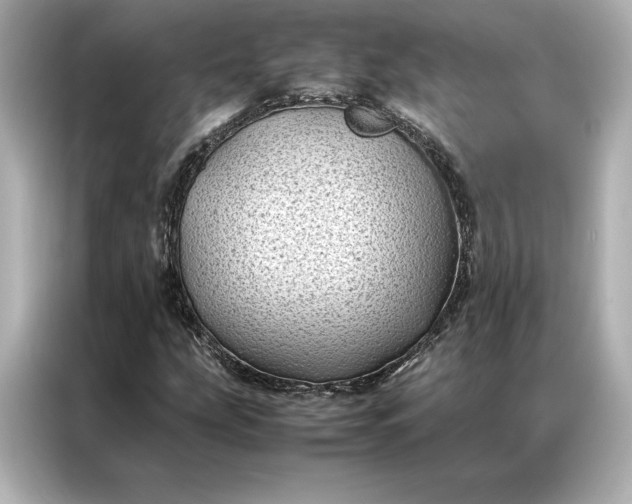 X0000086891207200704300950