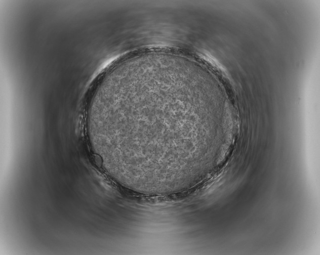 X0000086891208200704300950