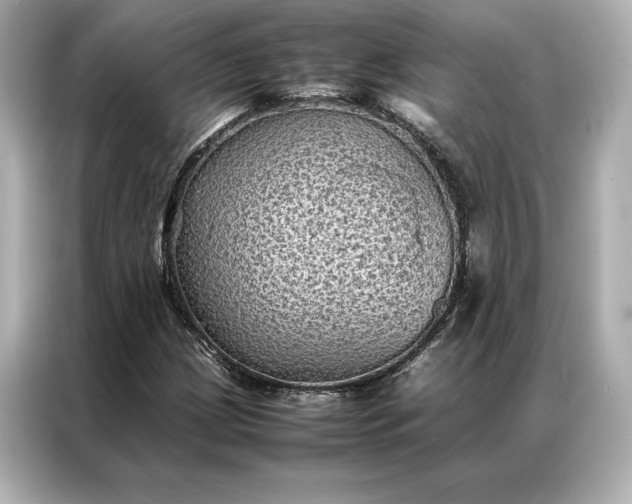 X0000086891209200704300950