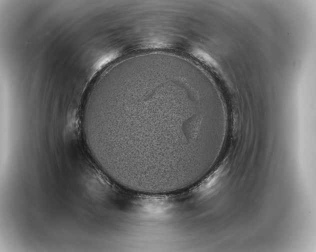 X0000086891210200704300950