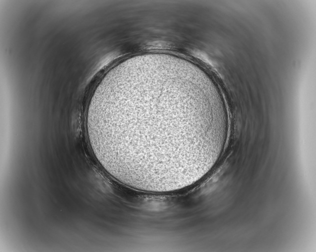 X0000086891211200704300950