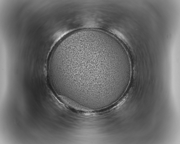 X0000086891212200704300950