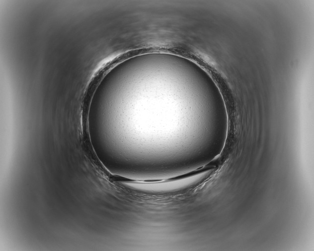 X0000086891214200704300950