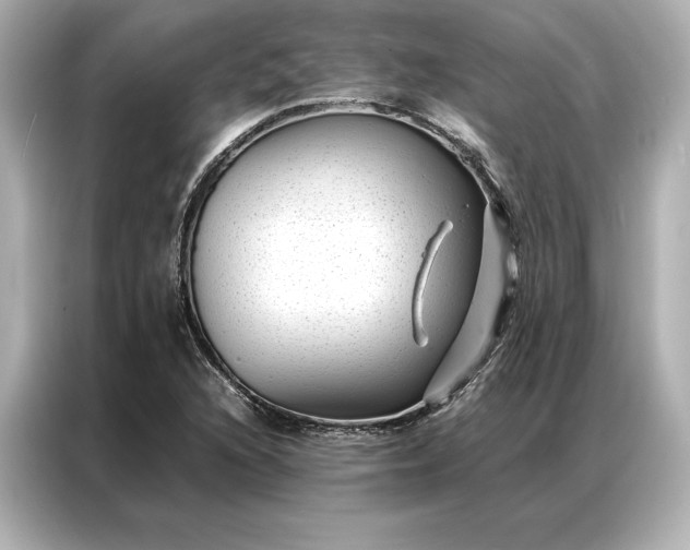 X0000086891216200704300950