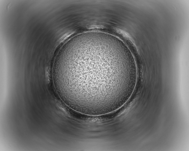 X0000086891217200704300950