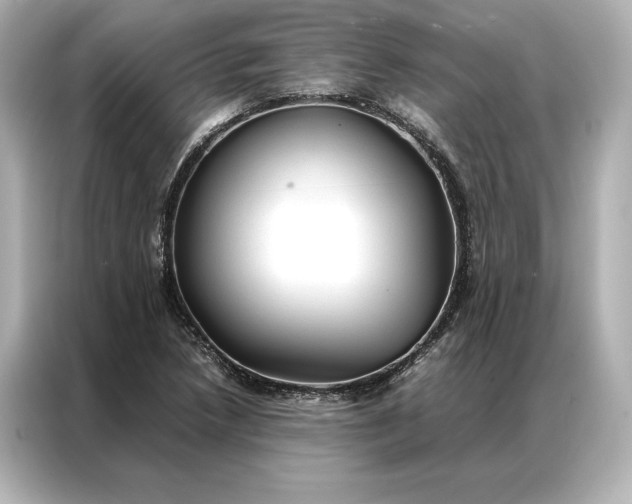 X0000086891218200704300950