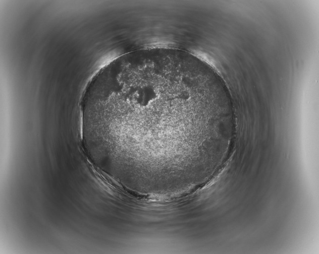 X0000086891219200704300950