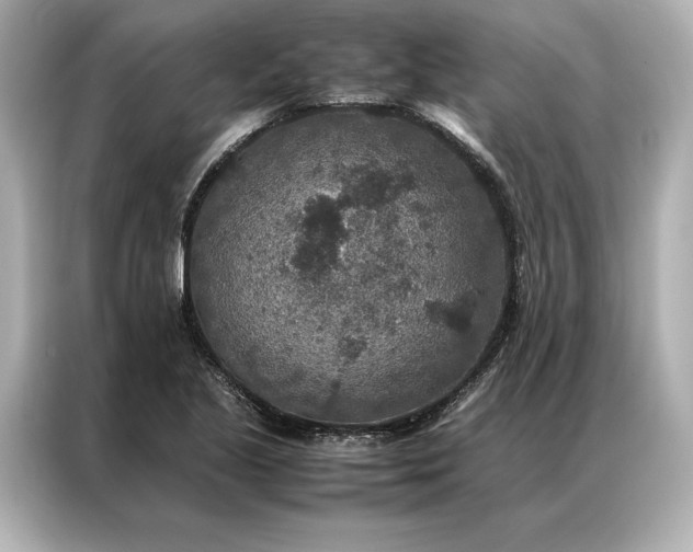 X0000086891221200704300950