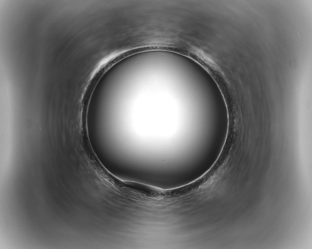 X0000086891222200704300950