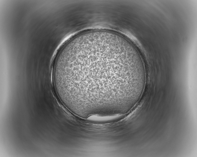 X0000086891224200704300950