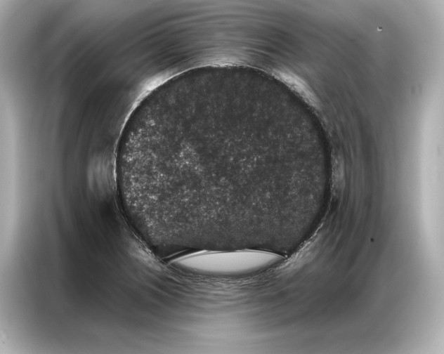 X0000086891226200704300950