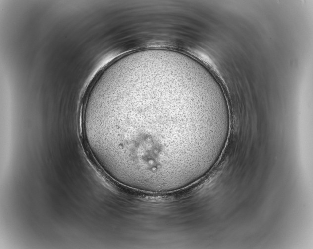 X0000086891227200704300950