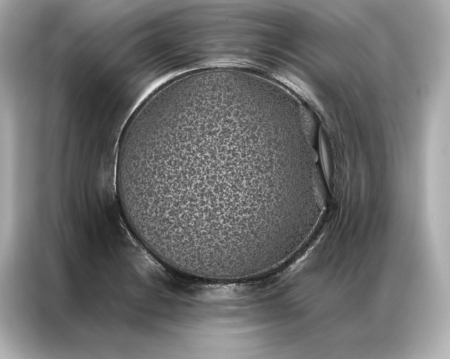 X0000086891228200704300950