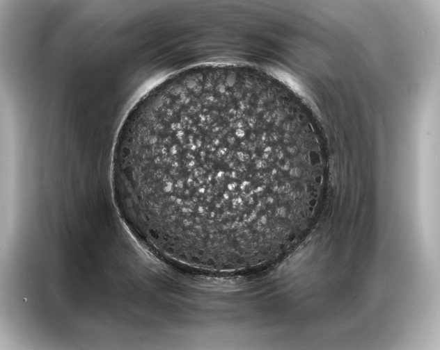 X0000086891229200704300950