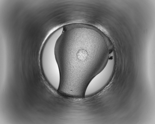 X0000086891230200704300950