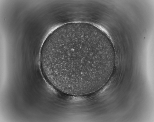 X0000086891231200704300950