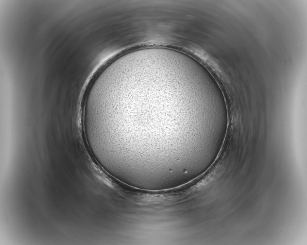 X0000086891232200704300950