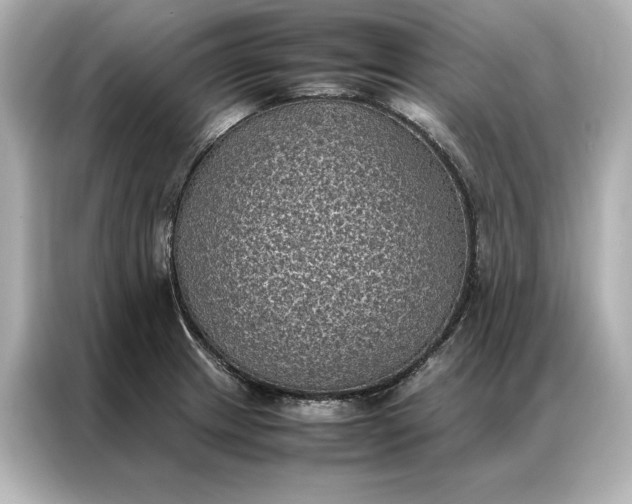 X0000086891233200704300950