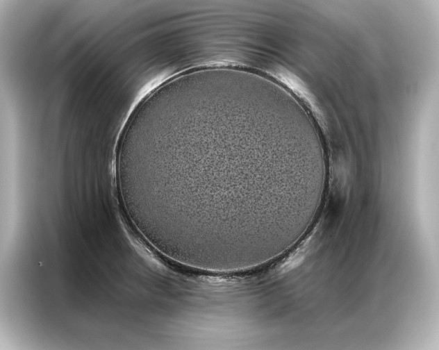 X0000086891234200704300950