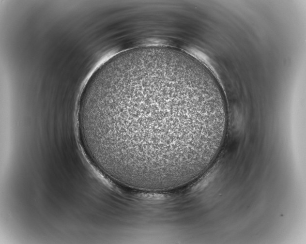 X0000086891235200704300950