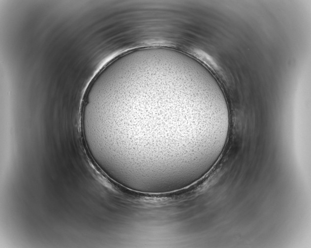 X0000086891236200704300950